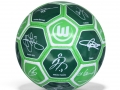 VFL Wolfsburg_Autogrammball_badboyzballfabrik